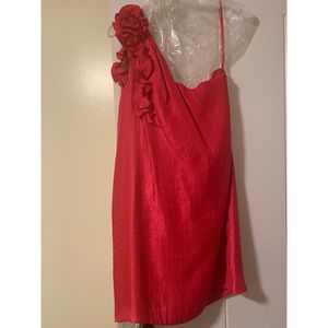 Alexis Dress ( Davids Bridal)